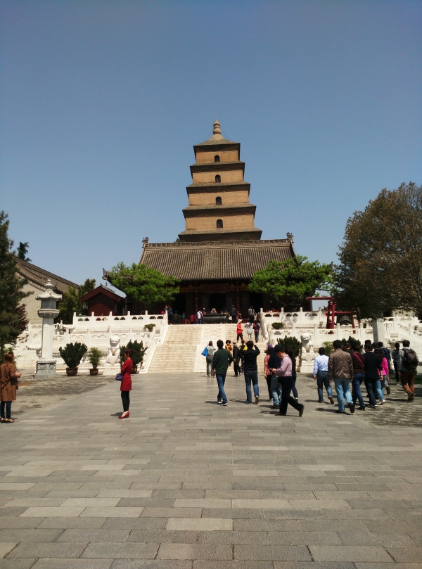 IMG_20160416_115424.jpg