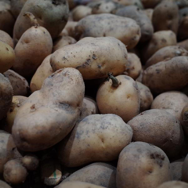 不能和土豆一起食用的食物？或许大家应该注意下，不要不当回事