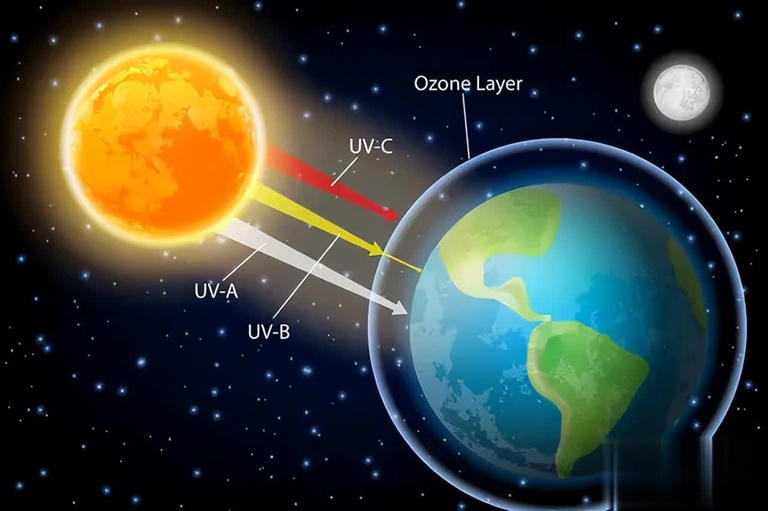 地球和整个太阳系看起来都很特殊，难道是被精心设计的吗？