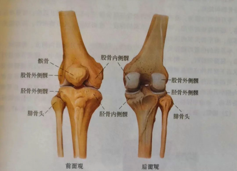 走路膝盖突然“软”一下？或许是这些疾病的信号