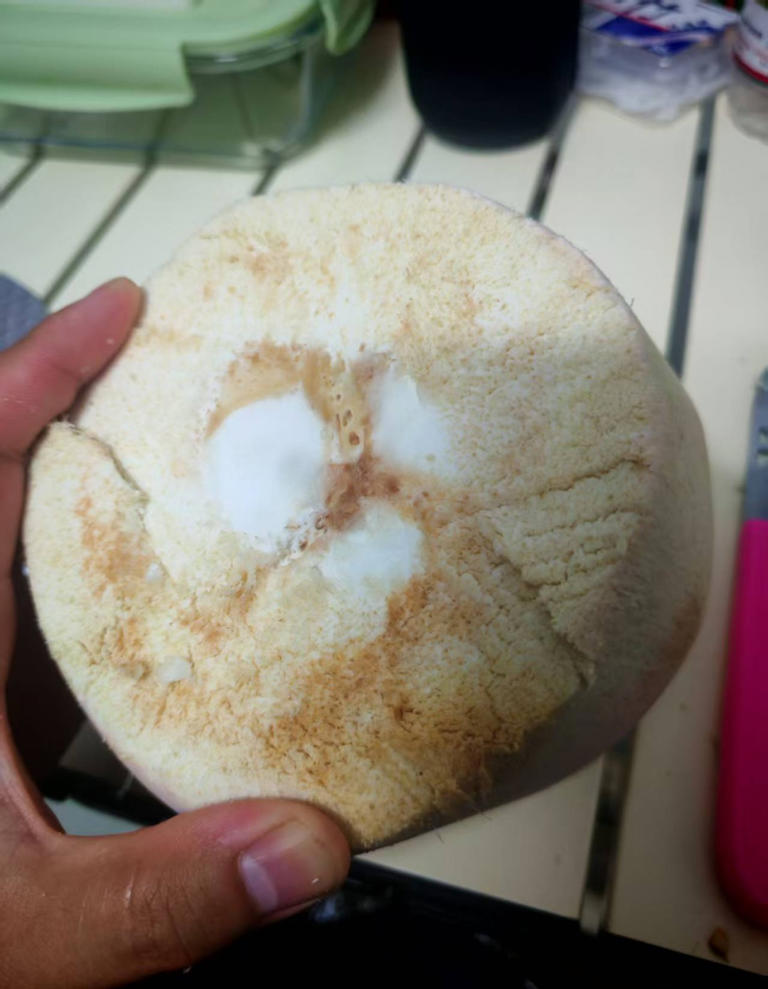 90% 的人都不知道的水果去皮方法！只需找准这些隐藏开关