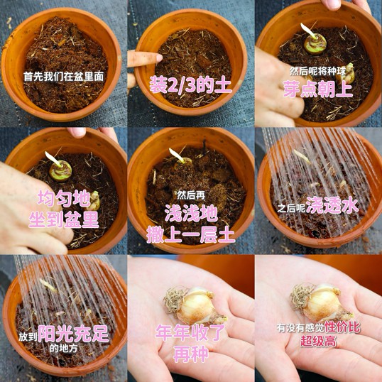 1603677318431104.jpg 111_副本.jpg