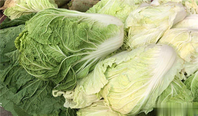 终于懂了!绿叶白菜和黄叶白菜区别大,别再买错