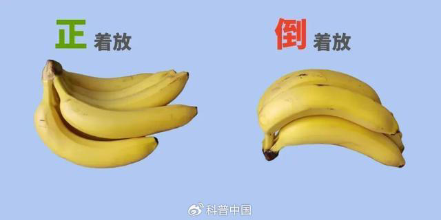 真的没骗你，香蕉皮上长这种黑斑，反而更好吃！