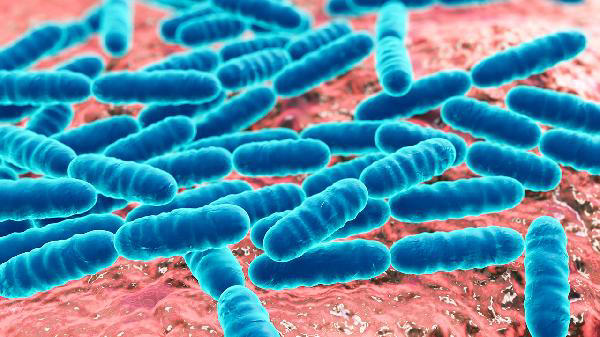 益生菌别乱吃？医生：两种菌或促进肿瘤生长，增加肠道感染风险？