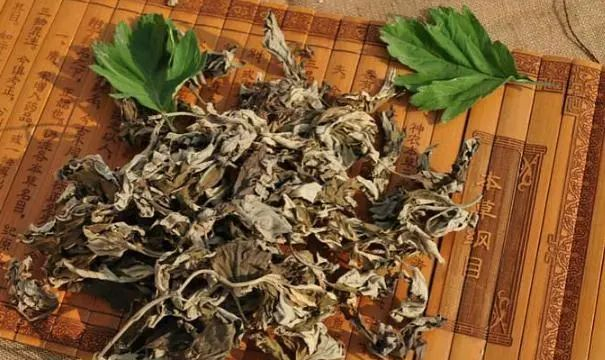 艾叶泡脚的功效与作用
