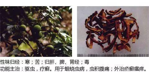 驱虫药