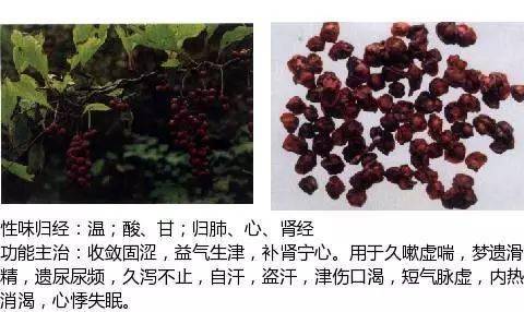 收涩药