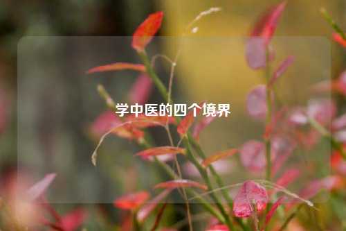 学中医的四个境界