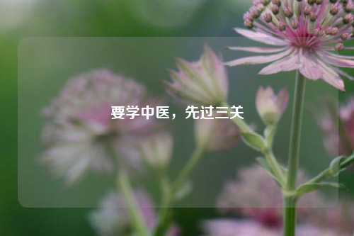 要学中医,先过三关
