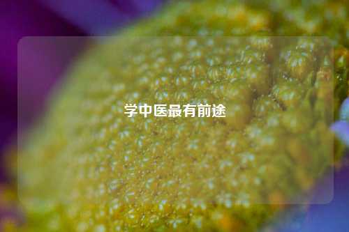 学中医最有前途