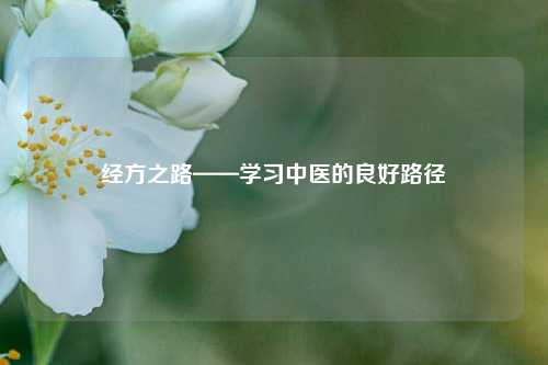 经方之路——学习中医的良好路径