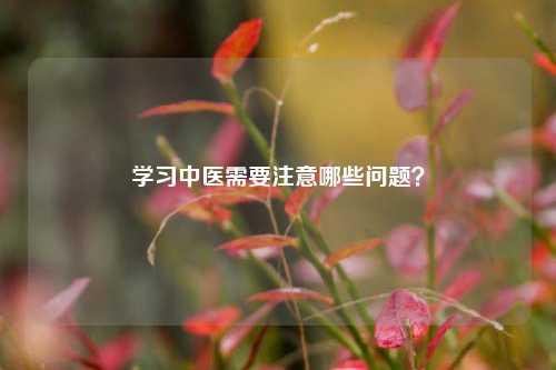 学习中医需要注意哪些问题？