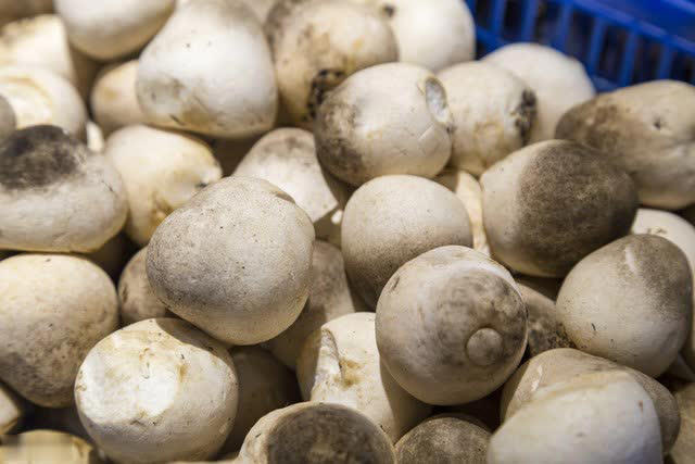 建议：吃菌菇别买这4种，全是“科技与狠活”！