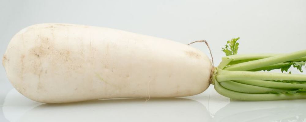 痰湿体质吃什么好 养生食谱推荐