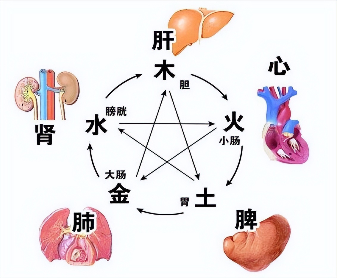 胃热是光吃不拉，脾虚是一吃就拉，肝郁是不停放屁，中医一招调理