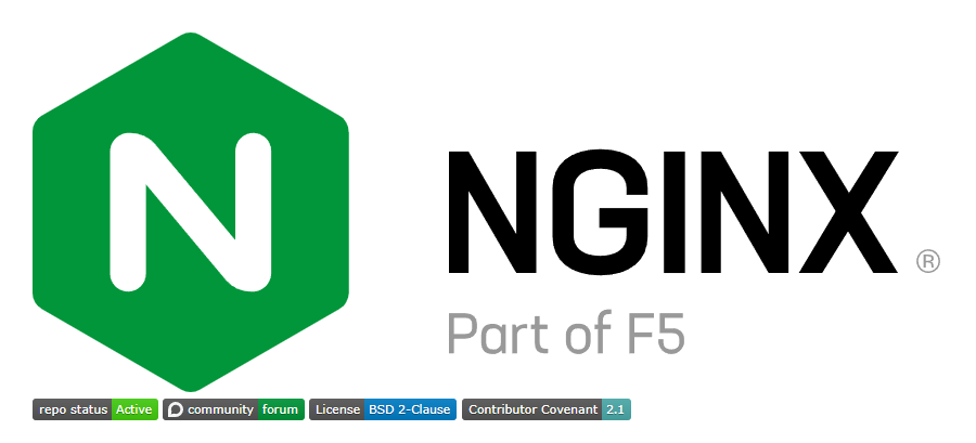 完整教程：Nginx 超详细详解和部署实例