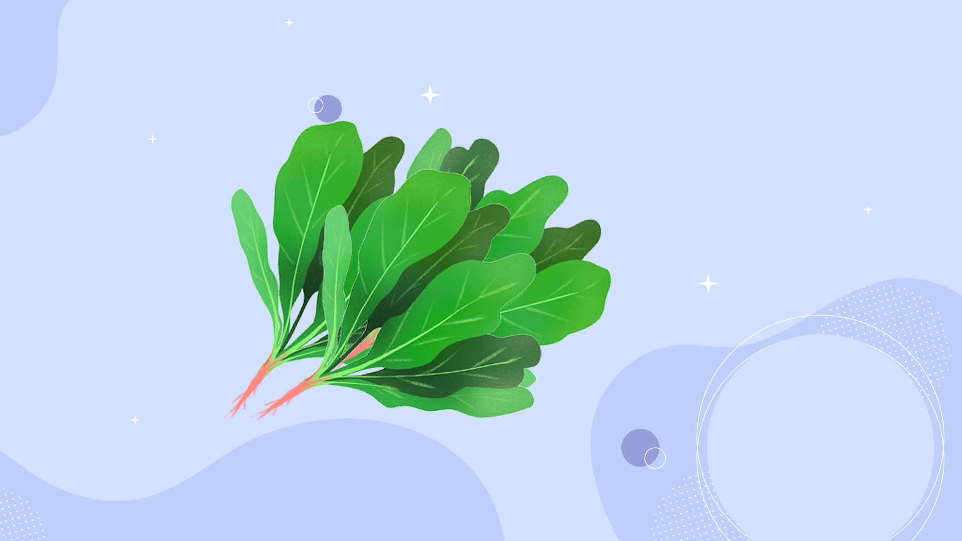 菠菜豆腐能一起吃吗？
