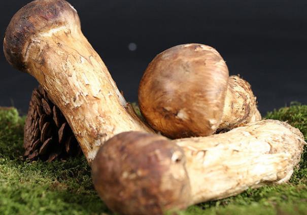 松茸上面的黑色要洗干净吗 松茸为什么不能用刀切