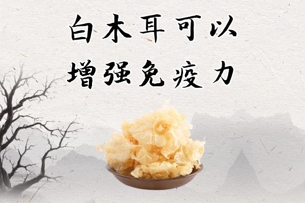 白木耳的功效与作用及食用禁忌有哪些? 
