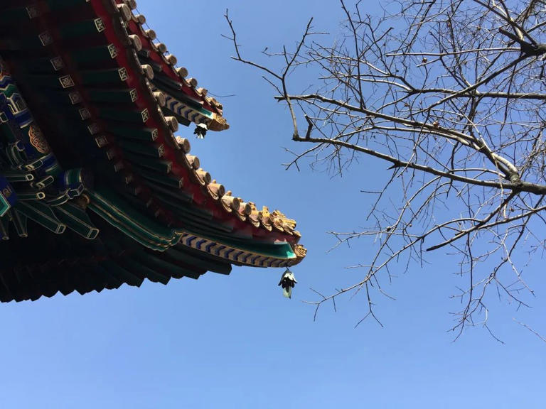 杨绛：在复杂的世界里，做个简单的自己