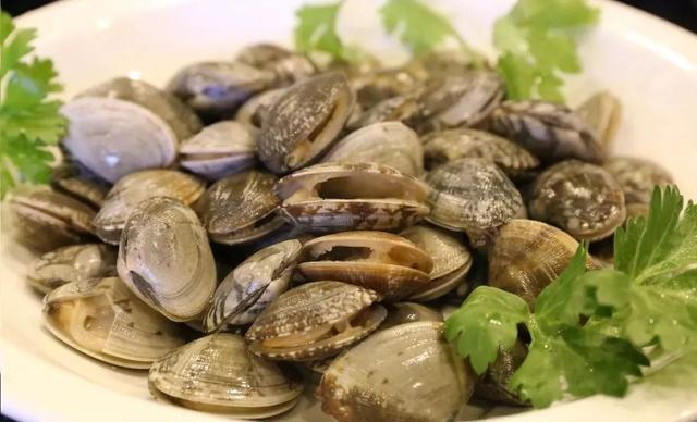 花蛤的8种最佳做法 分享几种花蛤的做法