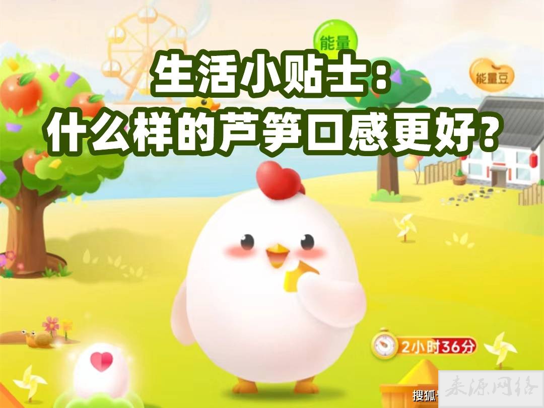 什么样的芦笋口感更好