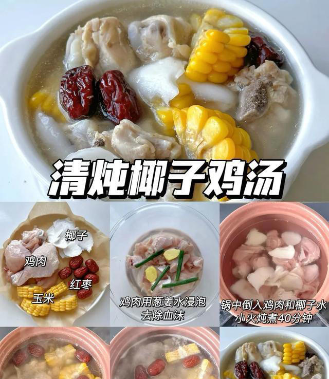分享10道家常清炖鸡汤！好喝不上火！营养丰富，鲜香不膩！
