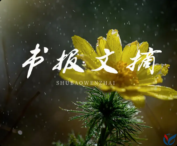 总有一句话，能治愈此刻的你（走心了）