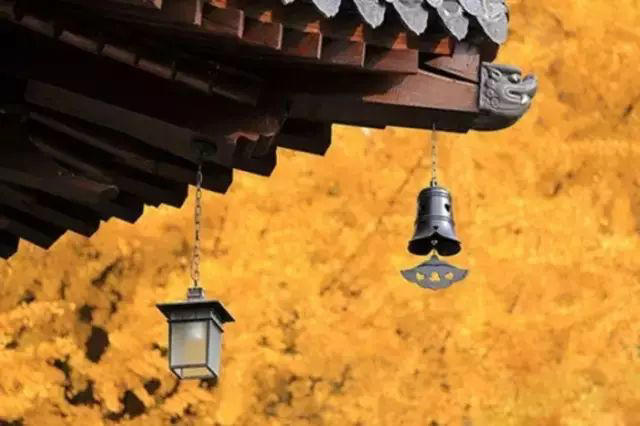 弱者易怒如虎，强者平静如水