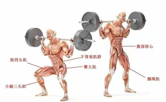 为什么要进行力量训练？增强肌肉，强化骨骼，提升代谢，延缓衰老