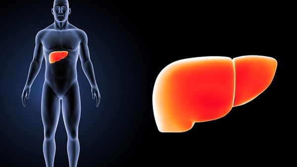 怎样可以补肝?补肝3大实用食谱中医2护肝