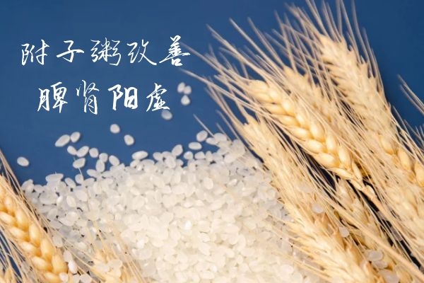 可以调理脾肾阳虚的食疗方有哪些?