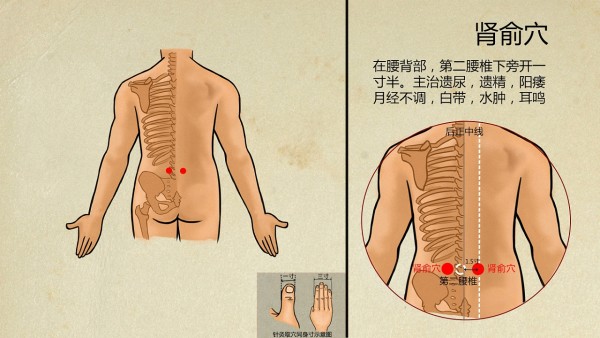 高脂肪饮食会加重肾损伤吗?高脂饮食为什么会导致肾脏损害?