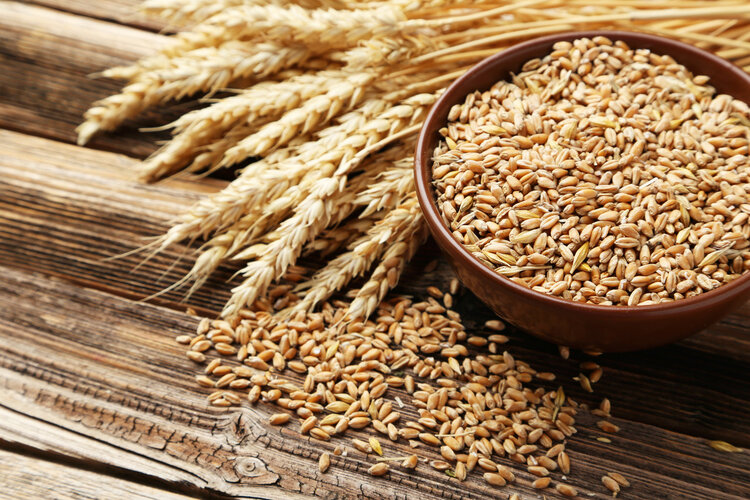 糯米和大米有什么区别?为什么大米能当主食,糯米却不可以?