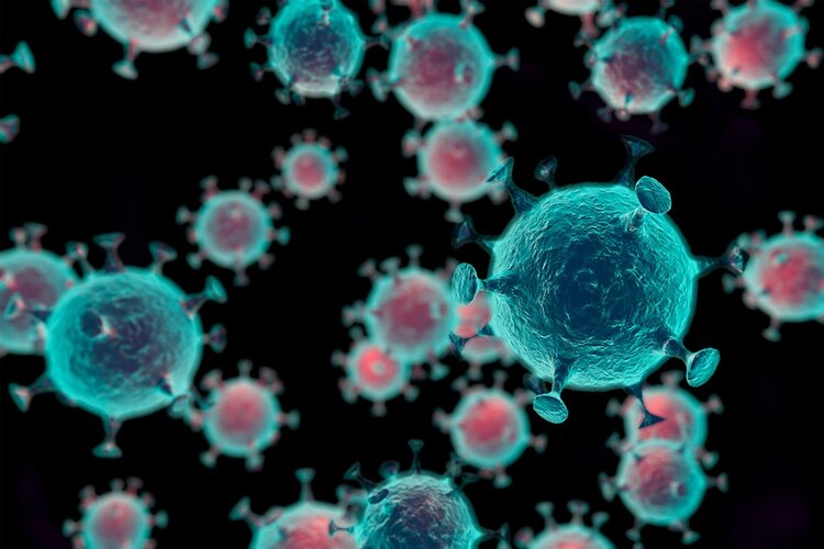 红薯叶是“长寿菜”,经常吃能抗癌?提醒:你可能被忽悠了