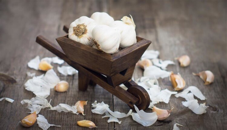 红薯叶是“长寿菜”,经常吃能抗癌?提醒:你可能被忽悠了