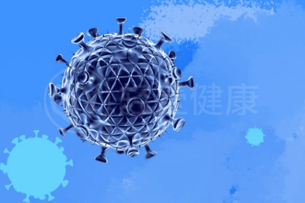 细菌 细菌