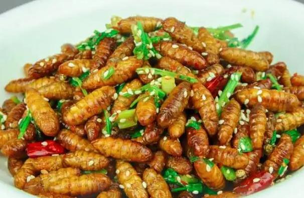 蚕蛹可以冷冻保存吗?活蚕蛹冷藏能储存几天?