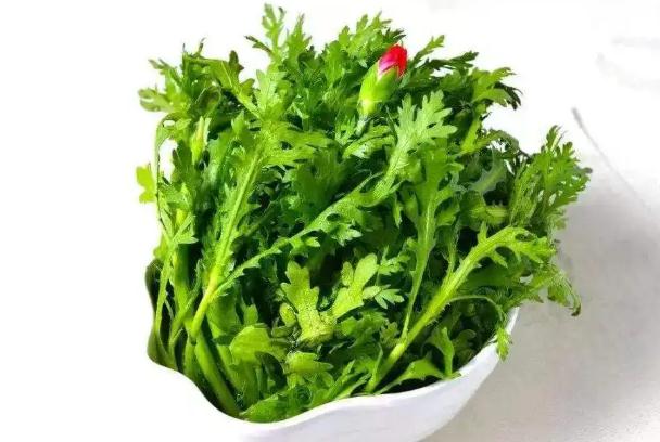 茼蒿的营养价值高吗?茼蒿的功效与作用有哪些?