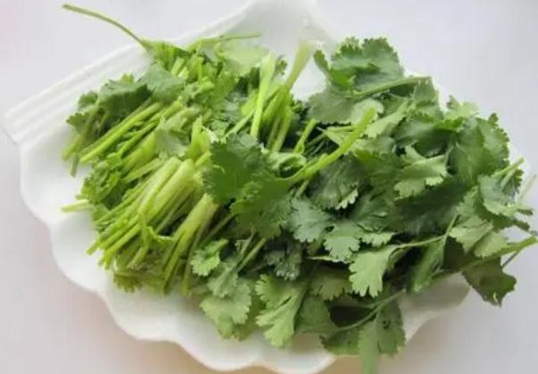 香菜是回奶还是下奶?香菜是碱性还是酸性?