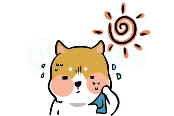 头汗的原因
