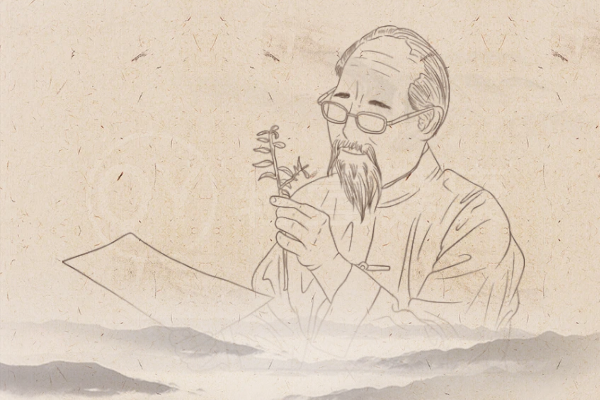 风寒 风寒