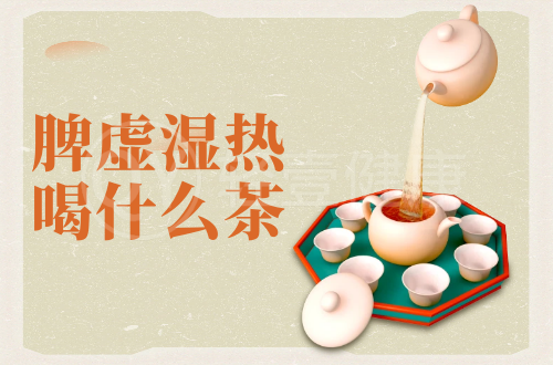 脾虚湿热喝什么茶？