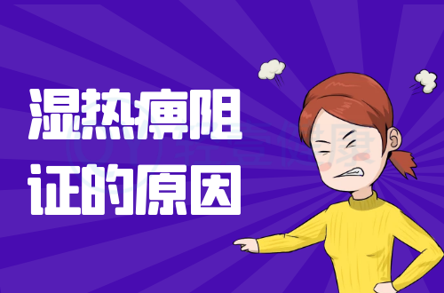 导致湿热痹阻证的原因有哪些？如何进行调理？