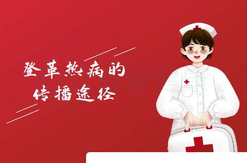 登革热病的传播途径有哪些？