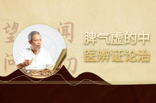 脾气虚的中医辨证论治