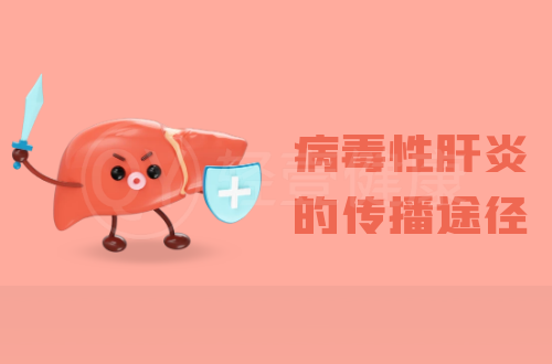 病毒性肝炎的传播途径