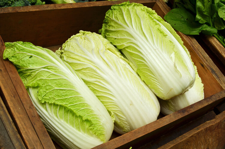 研究肿瘤六十多年，93岁孙院士提醒：远离癌症，4种食物尽量少吃