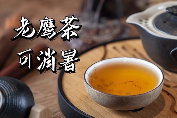 老鹰茶的功效与作用及禁忌有哪些?